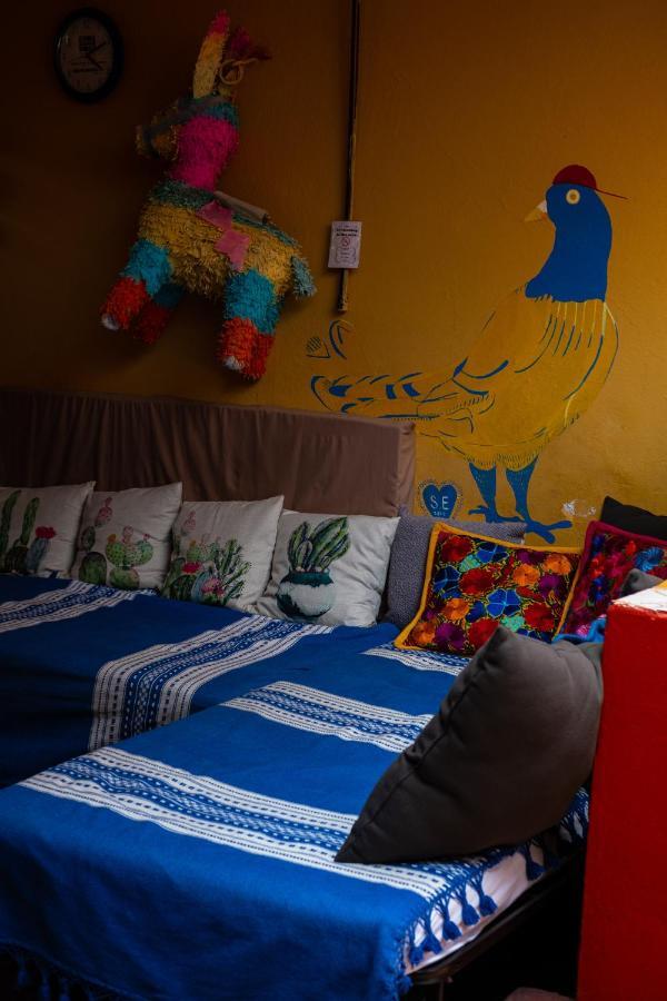 Hostal Pochon Oaxaca Ngoại thất bức ảnh