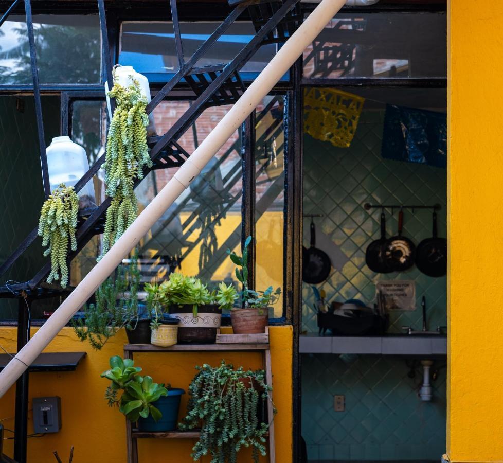 Hostal Pochon Oaxaca Ngoại thất bức ảnh