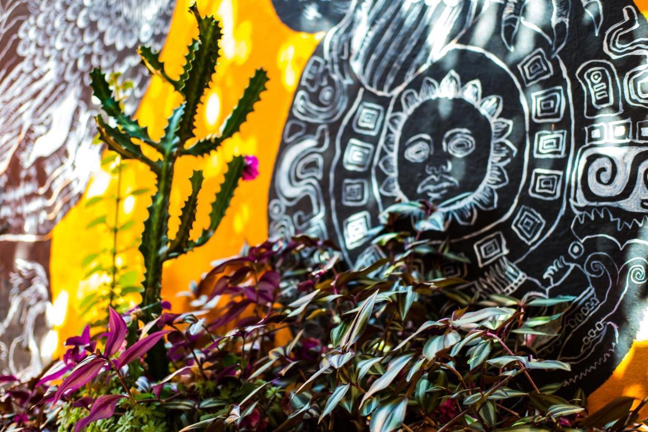 Hostal Pochon Oaxaca Ngoại thất bức ảnh